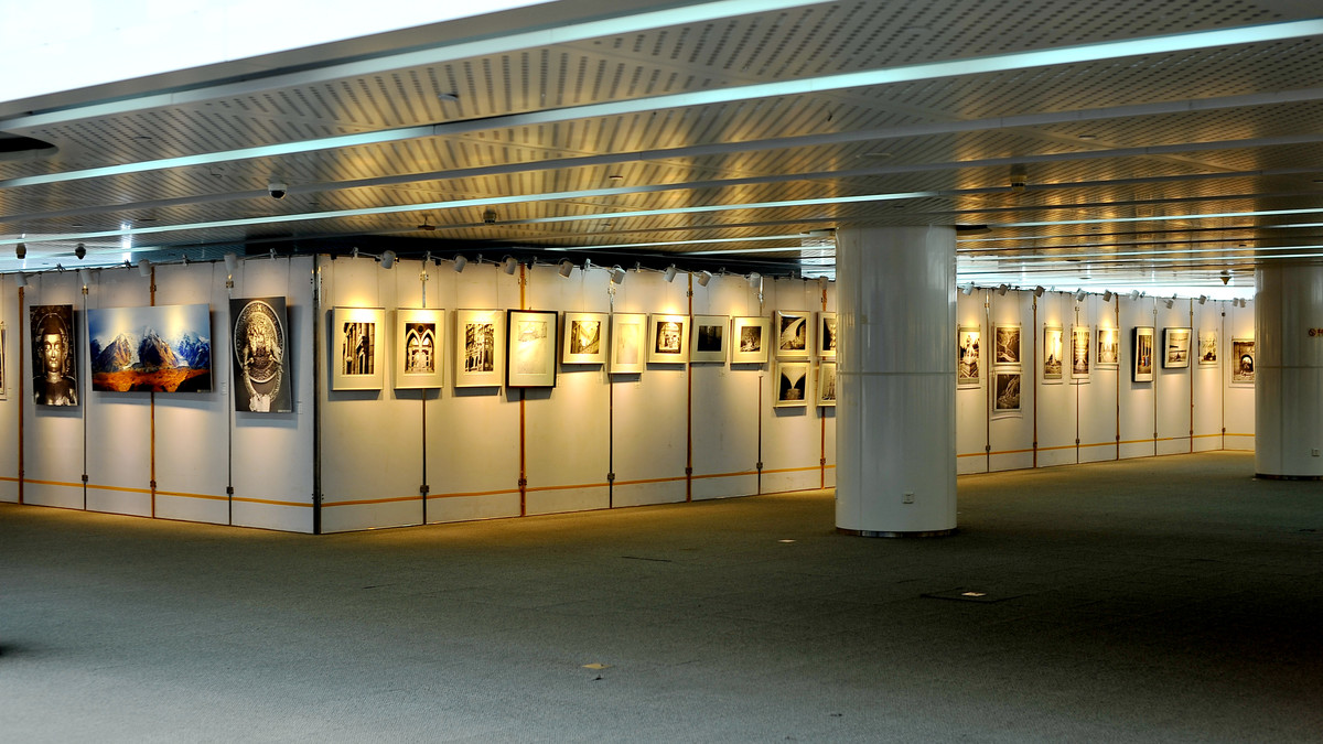 天津泰达图书馆【呈现-大画幅摄影展】