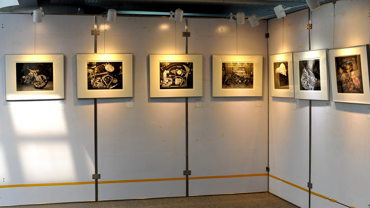 天津泰达图书馆【呈现-大画幅摄影展】