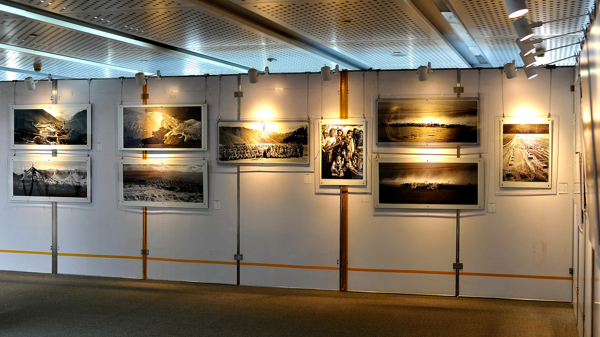 天津泰达图书馆【呈现-大画幅摄影展】