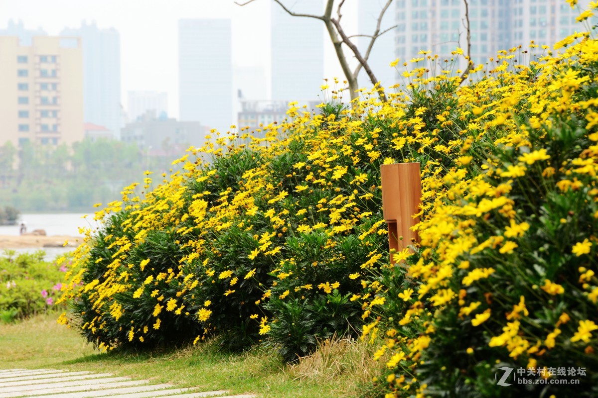 新买的18-200镜头，试拍一下效果。