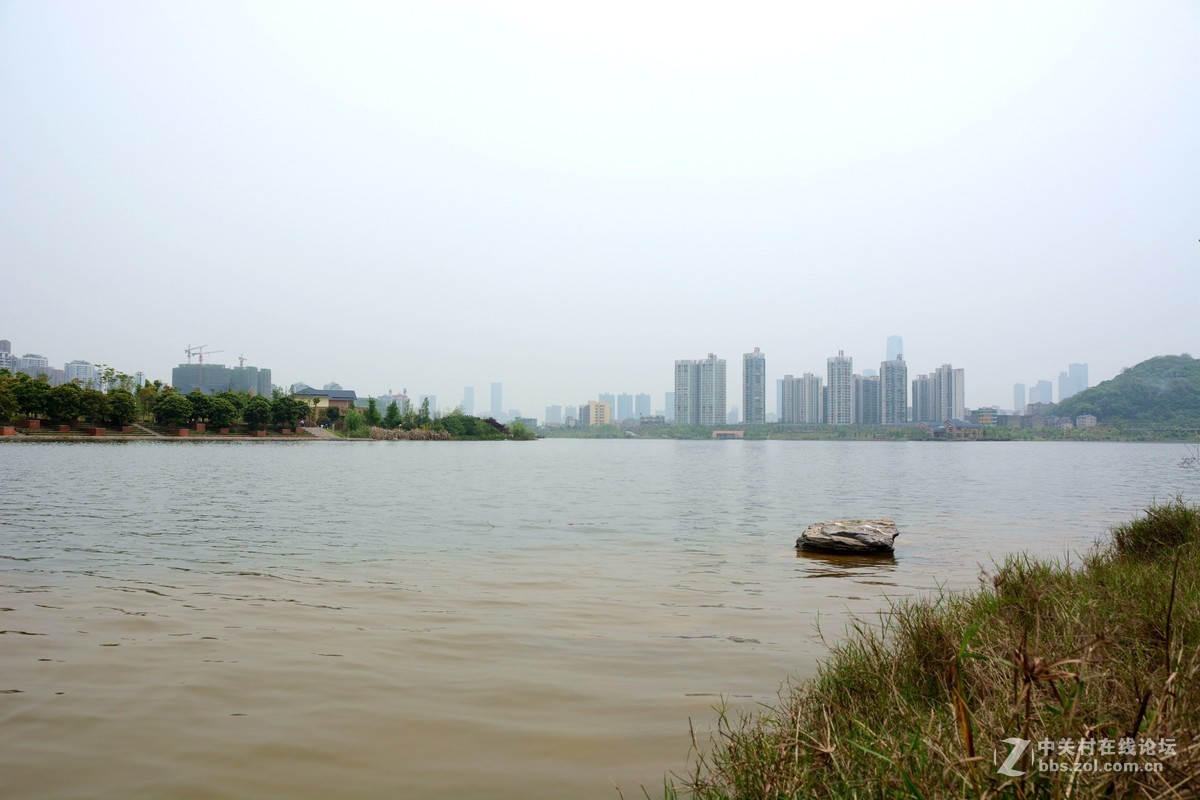 新买的18-200镜头，试拍一下效果。