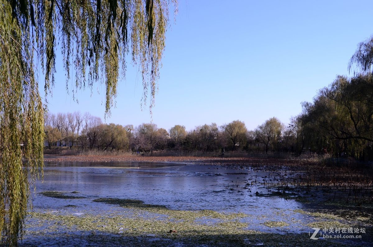 圆 明 园 ----------深  秋