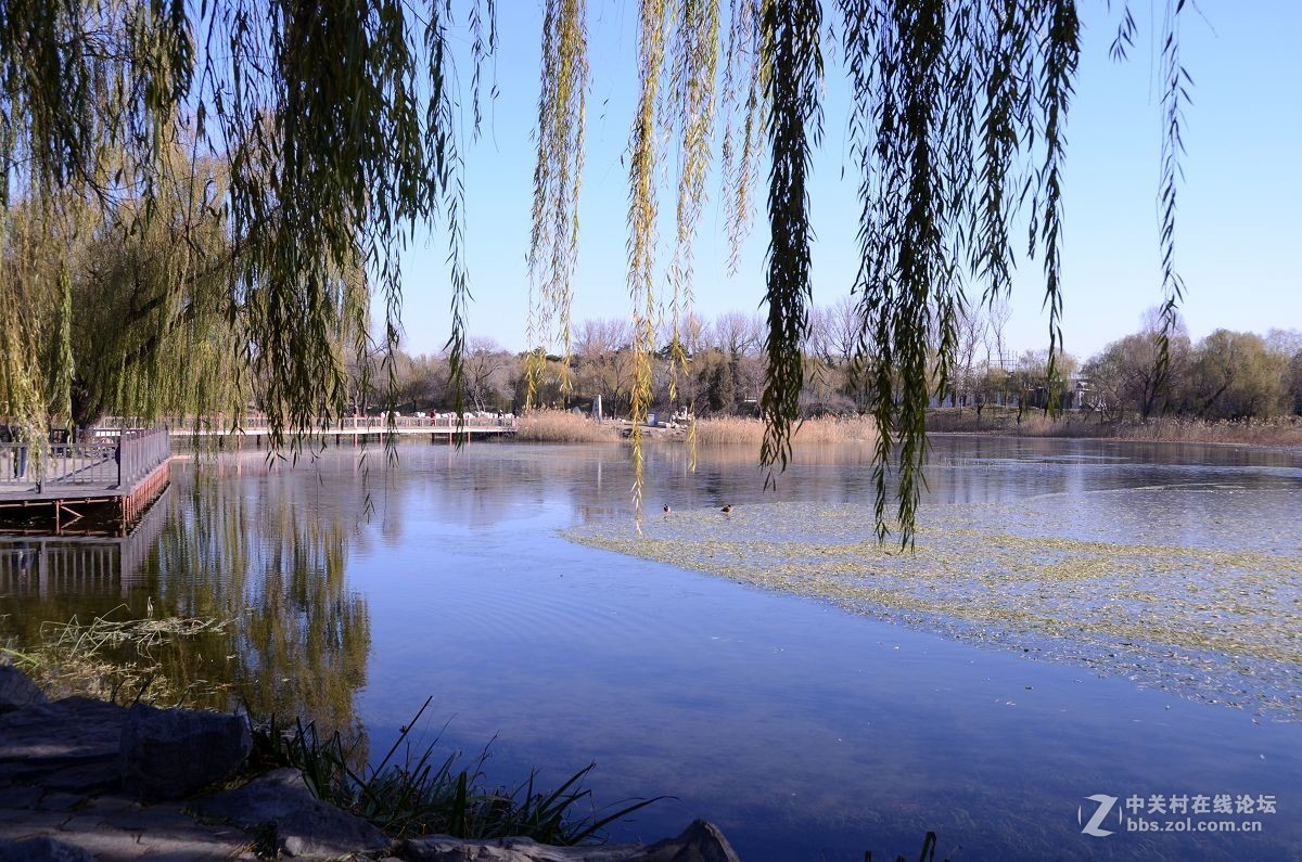 圆 明 园 ----------深  秋