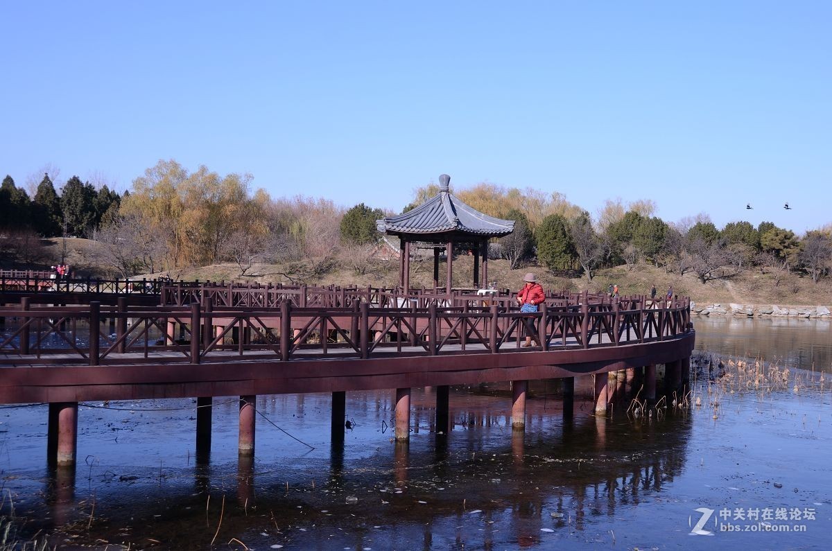 圆 明 园 ----------深  秋