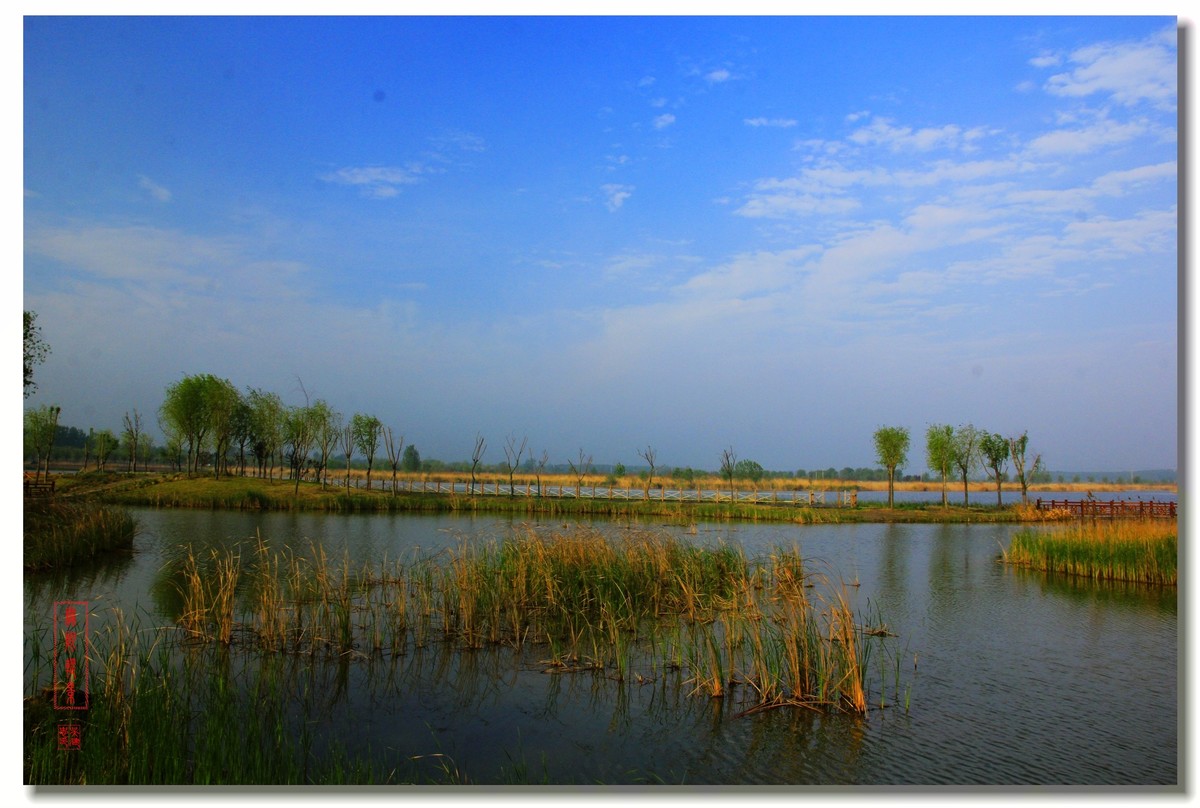 沛县安国湿地晨拍风景