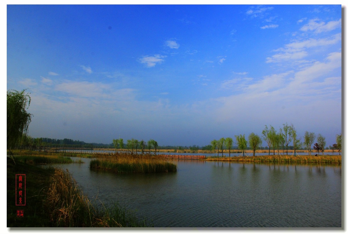 沛县安国湿地晨拍风景