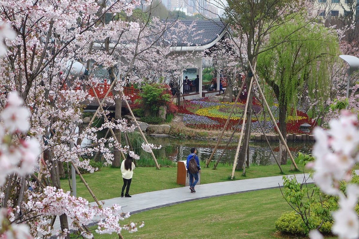 春意萌动的季节