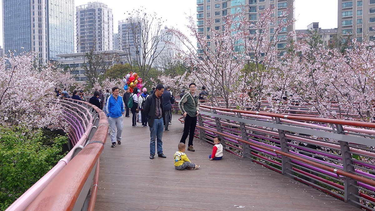 春意萌动的季节