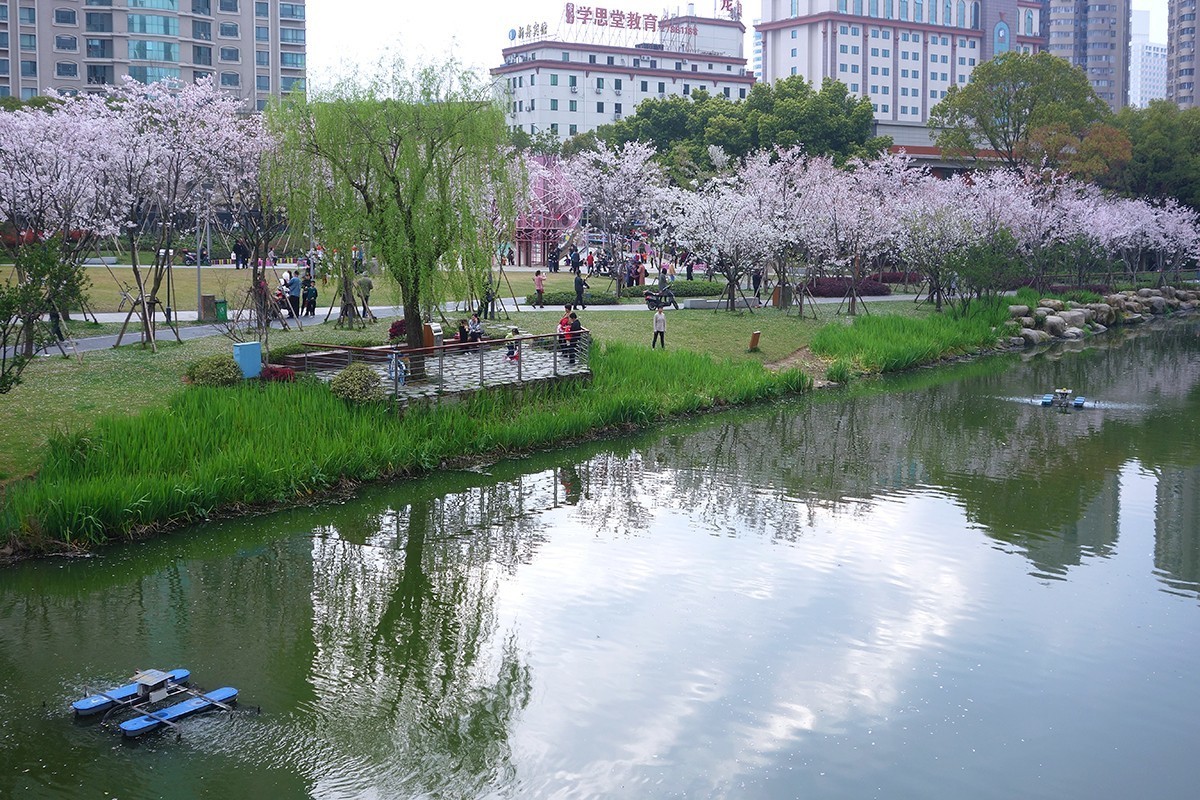 春意萌动的季节