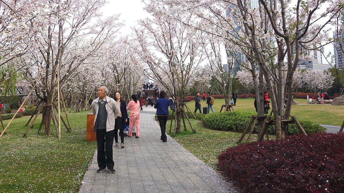 春意萌动的季节