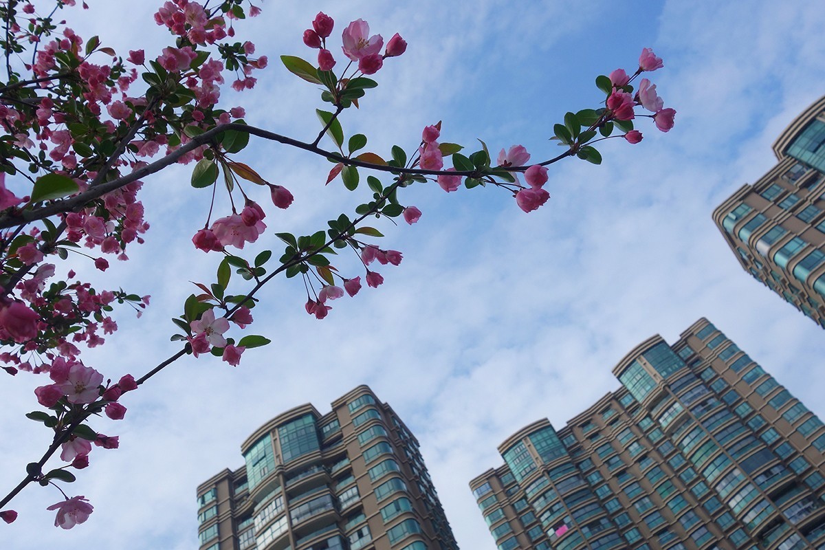 春意萌动的季节