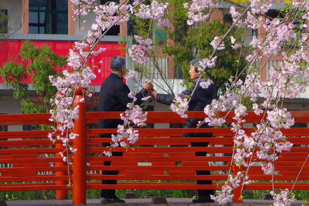 春意萌动的季节