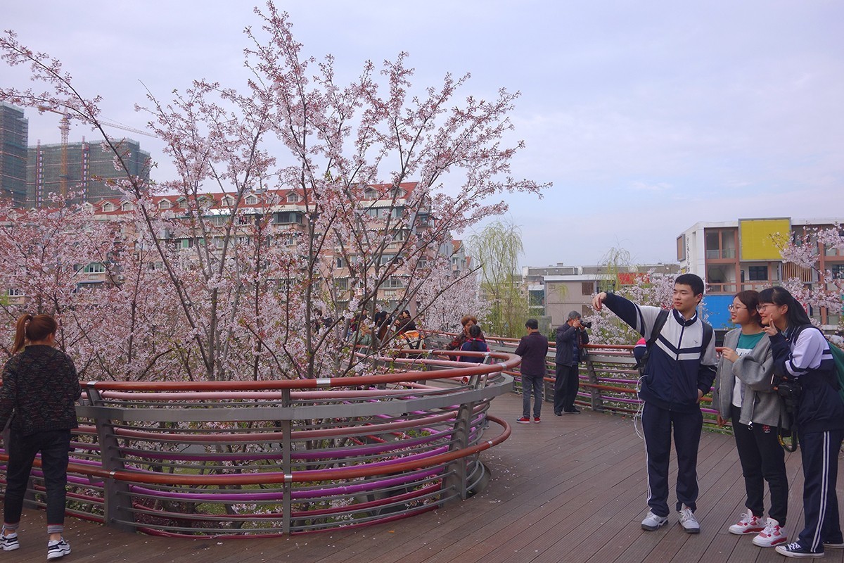 春意萌动的季节