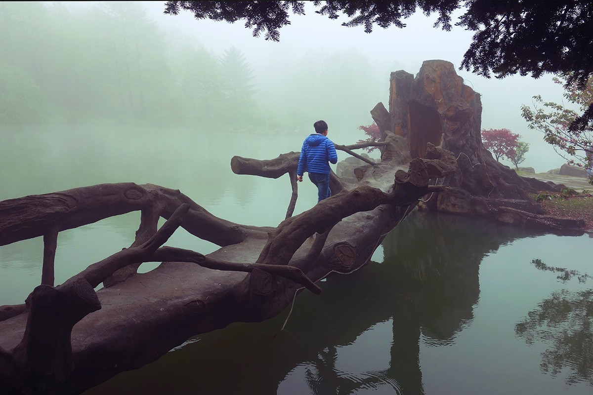 春意萌动的季节