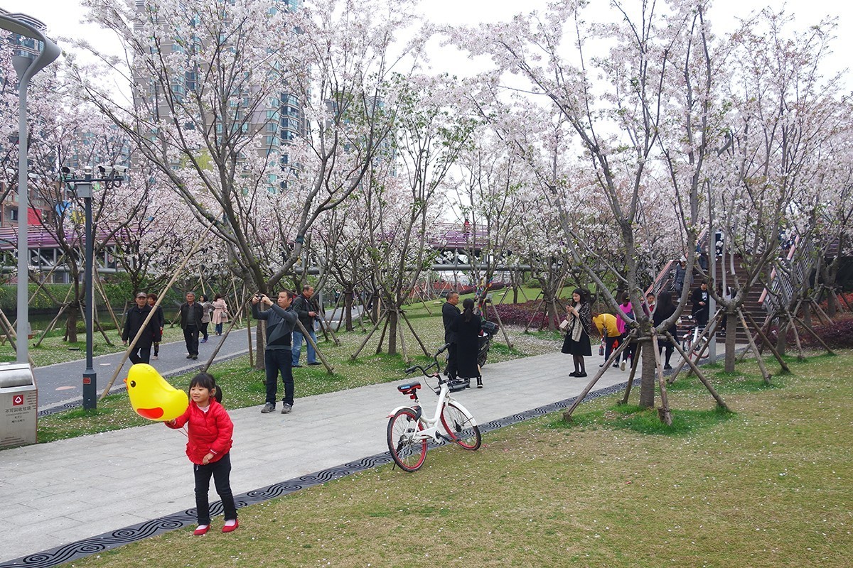 春意萌动的季节