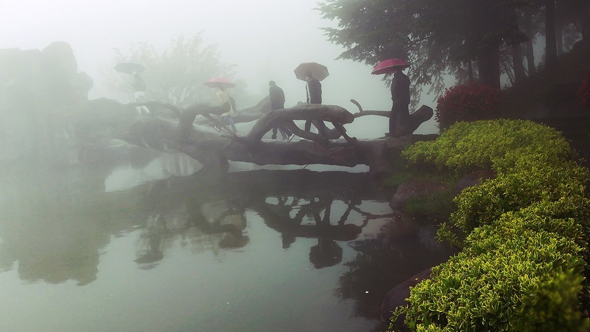 春意萌动的季节