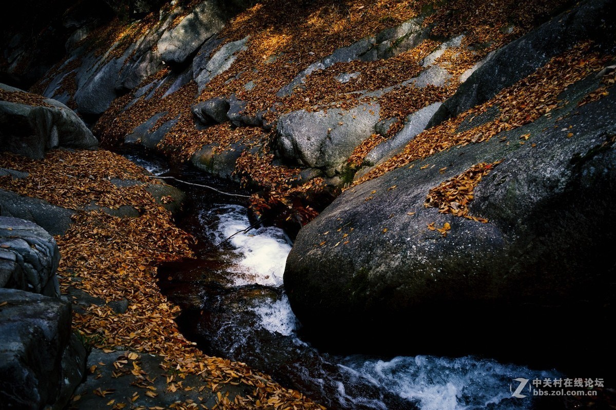 客来自远方-游光雾山十八月潭
