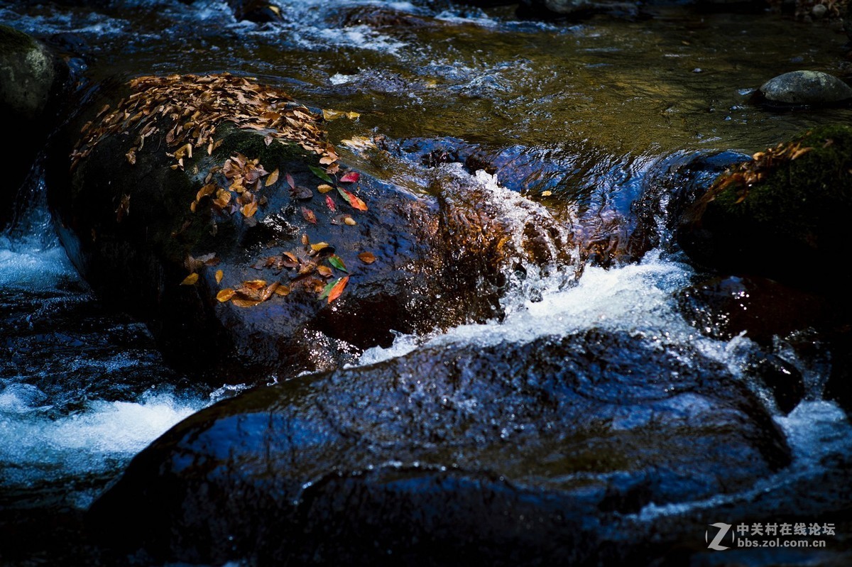 客来自远方-游光雾山十八月潭