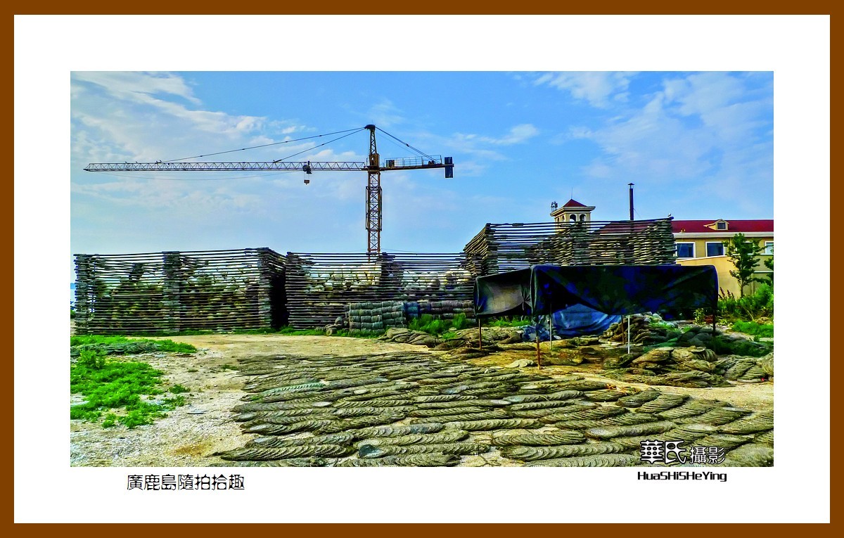 美色辽宁——广鹿岛随拍拾趣（大连市长海县）