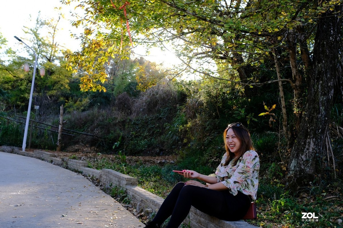 《福建尤溪古村落银杏林》