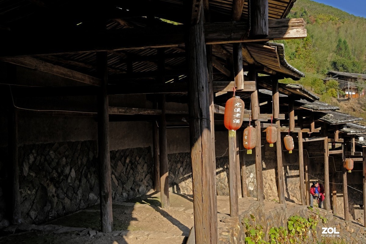 《福建尤溪古村落银杏林》
