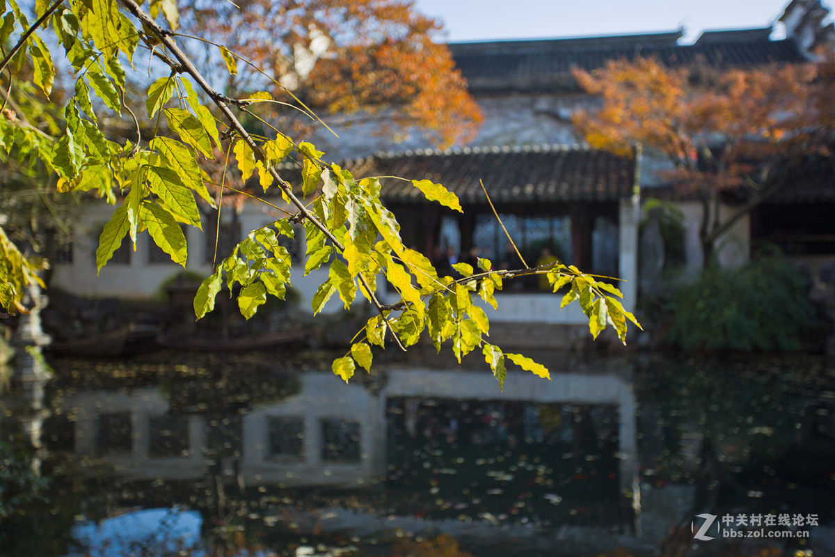 留园秋色（一）