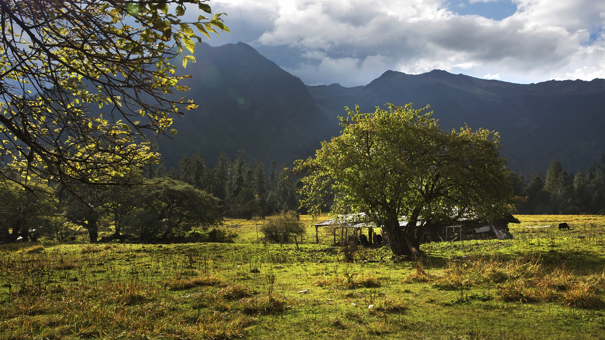 #我的2015摄影总结#-随笔