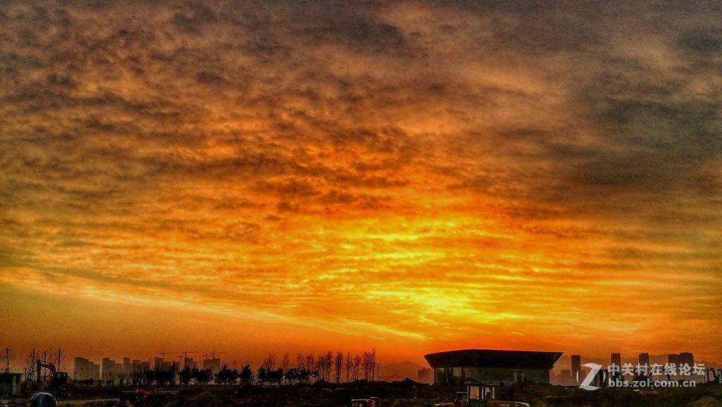 青岛中学工地的早晨