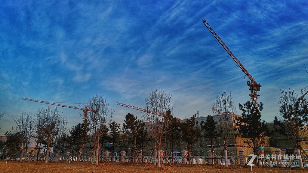 青岛中学工地的早晨