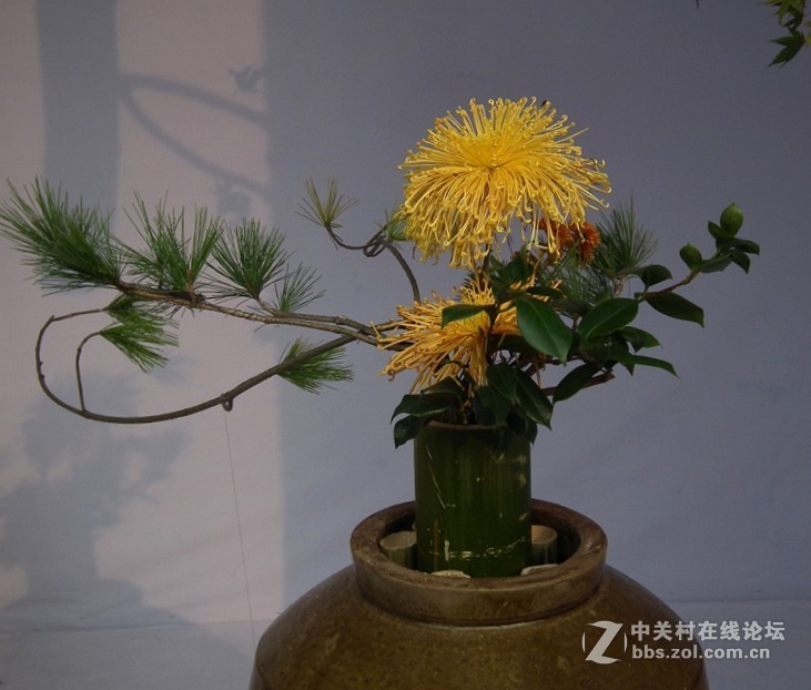 成都人民公园插花展2018