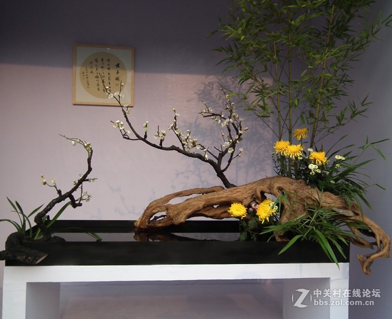 成都人民公园插花展2018