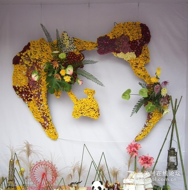 成都人民公园插花展2018