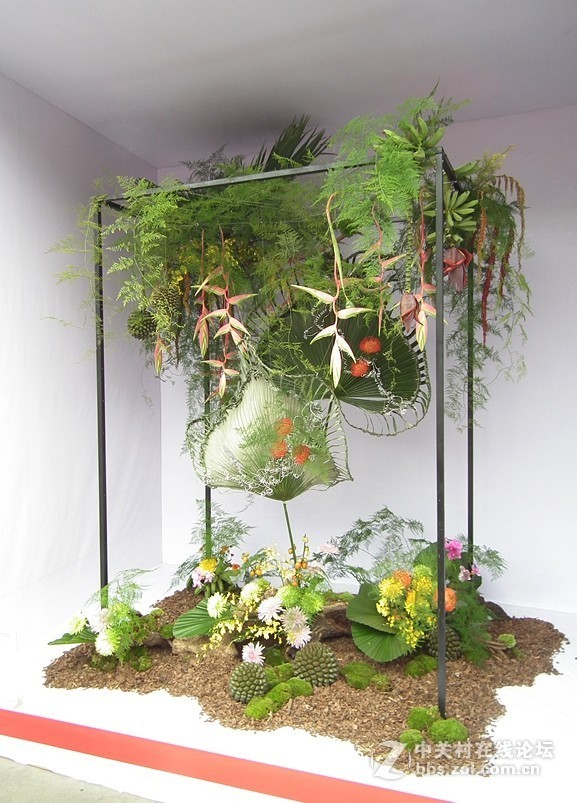 成都人民公园插花展2018