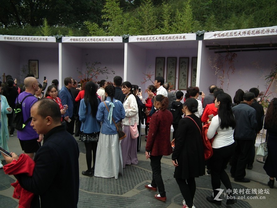 成都人民公园插花展2018