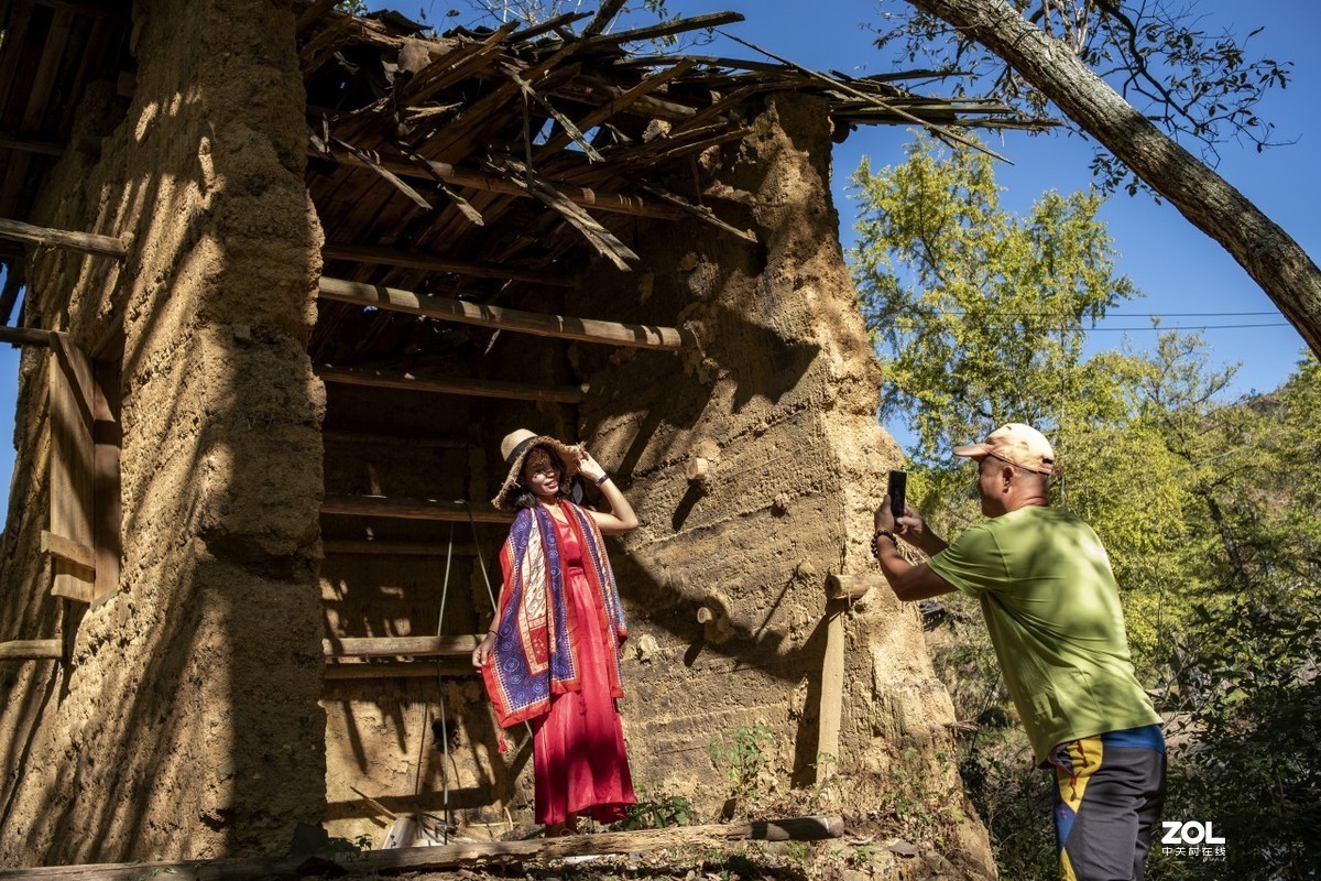 《福建尤溪古村落银杏林》