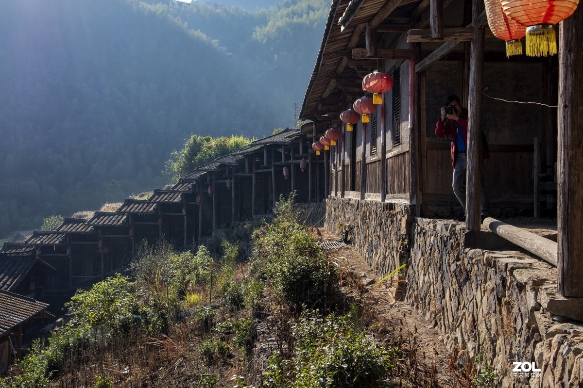 《福建尤溪古村落银杏林》