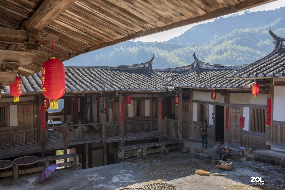 《福建尤溪古村落银杏林》