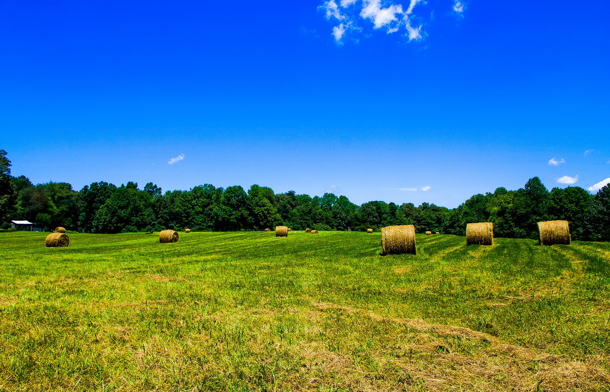 春天的农村田园风景 - 免费可商用图片 - CC0素材网