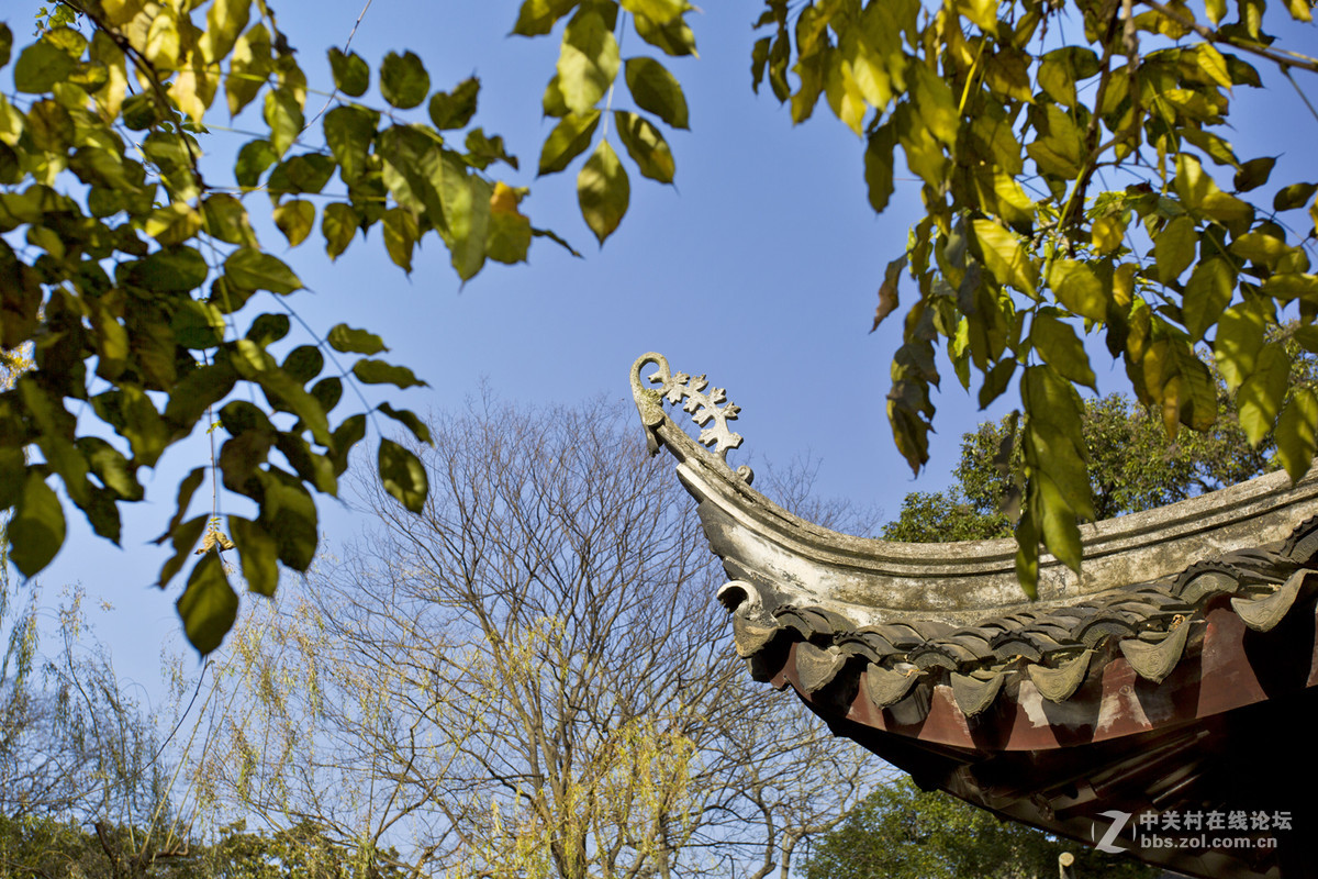 留园秋色（一）