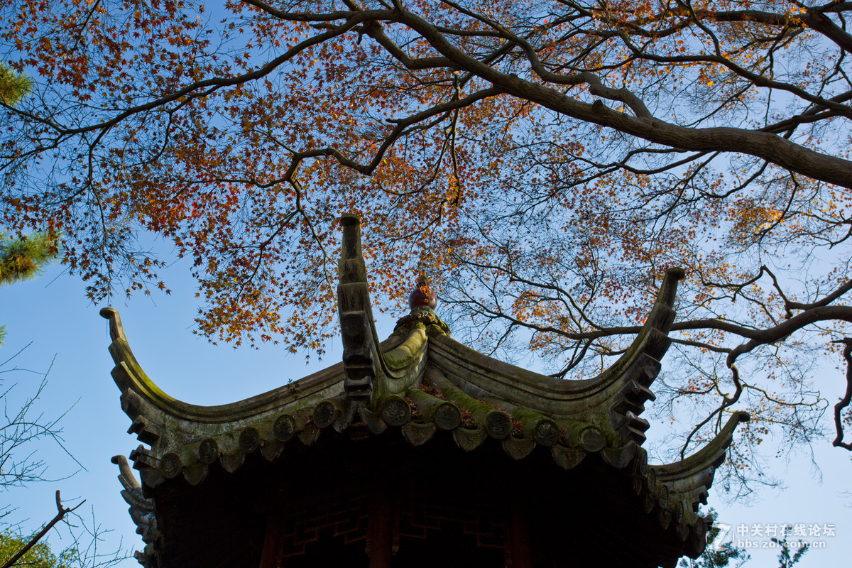 留园秋色（一）