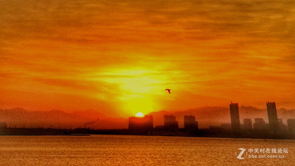 青岛中学工地的早晨