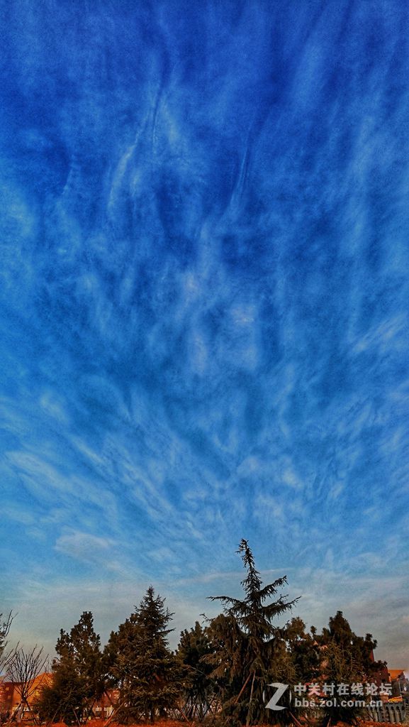 青岛中学工地的早晨