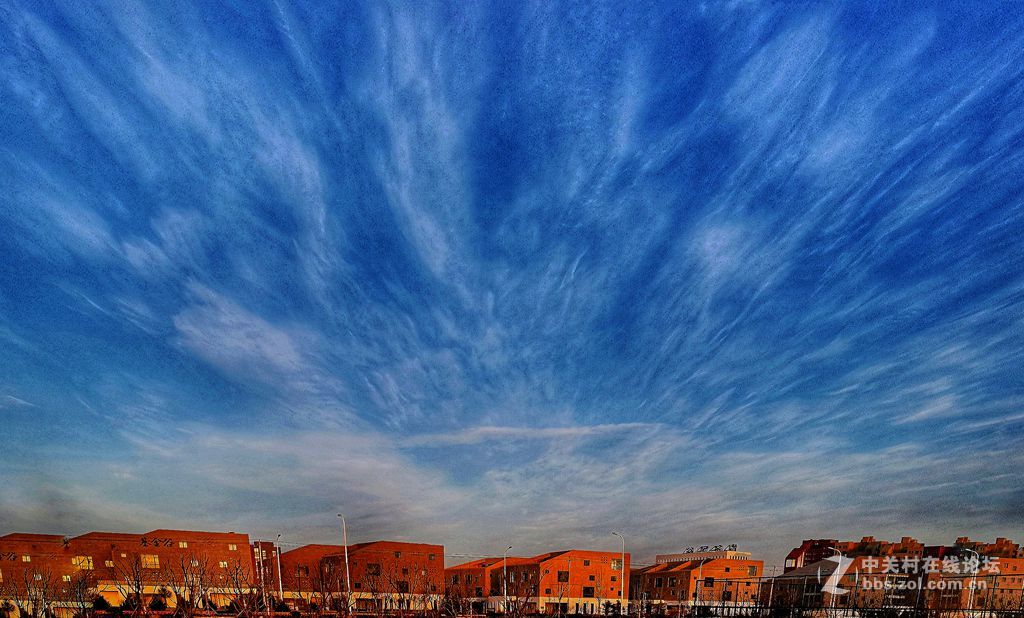 青岛中学工地的早晨