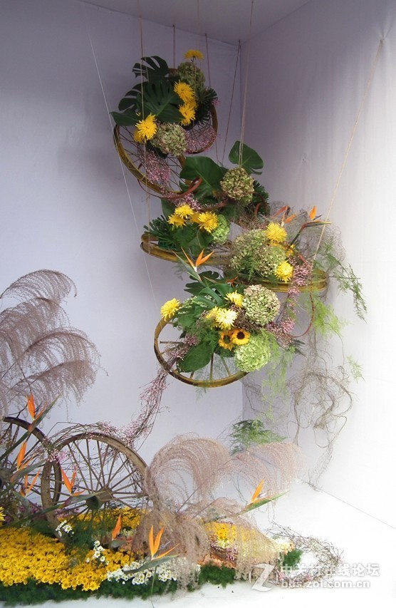 成都人民公园插花展2018