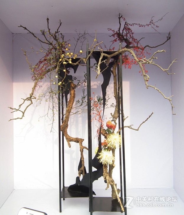 成都人民公园插花展2018