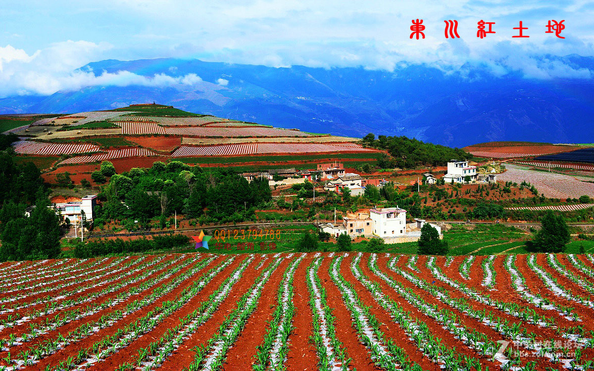 昆明东川红土地Ⅴ——与师友们欢度父亲节