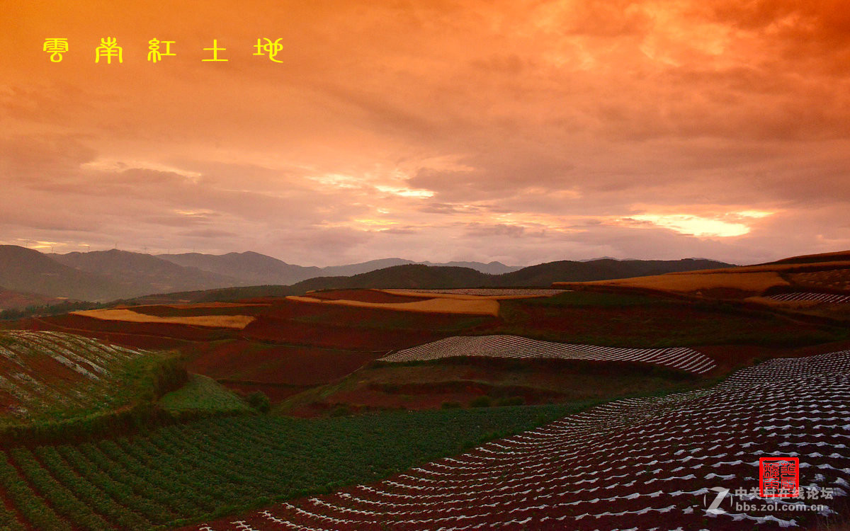 昆明东川红土地Ⅴ——与师友们欢度父亲节