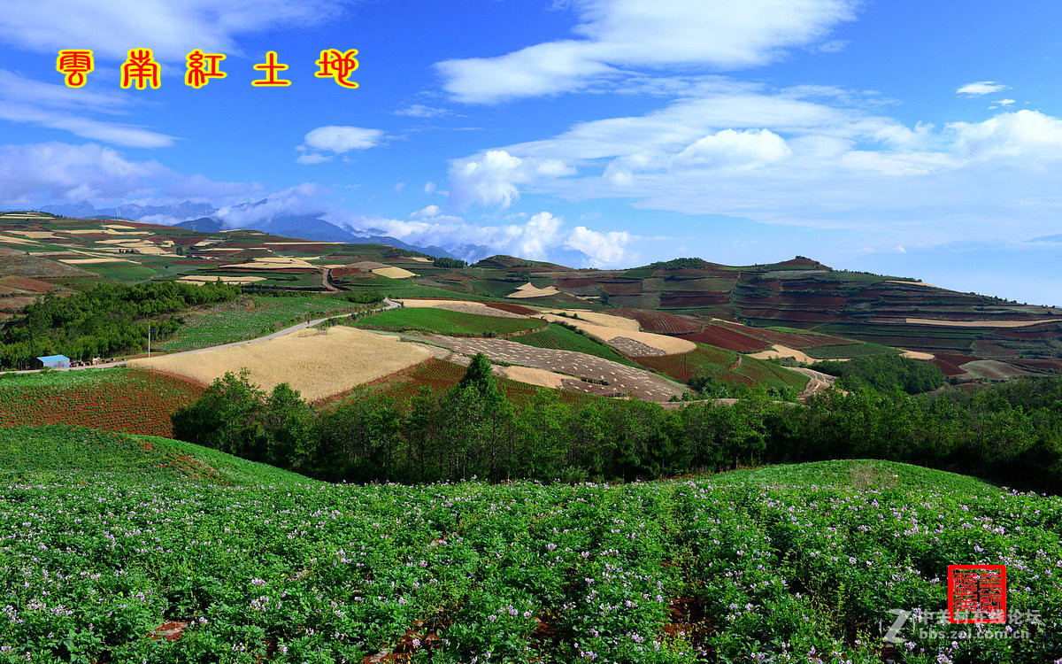 昆明东川红土地Ⅴ——与师友们欢度父亲节