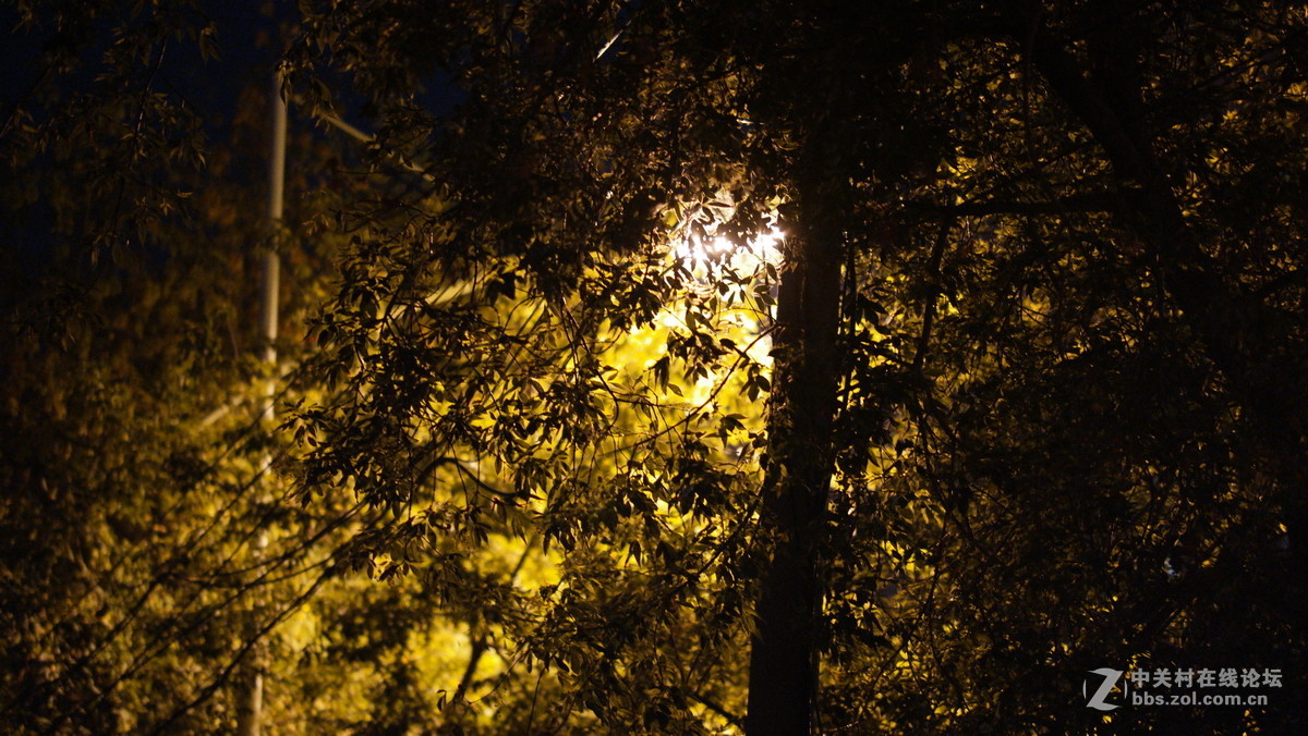 看看我的NX500+85/12-24mm （8月哈尔滨 原片未修！）