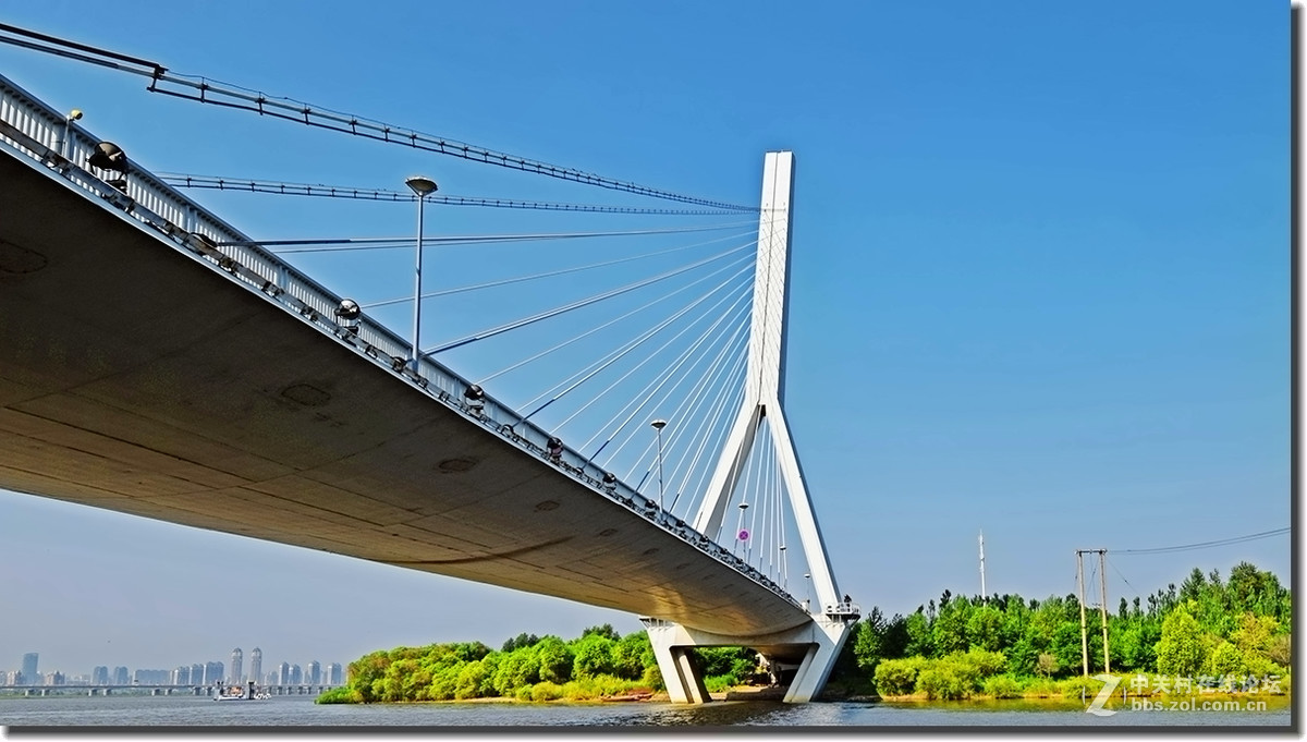 哈尔滨太阳岛斜拉桥图片